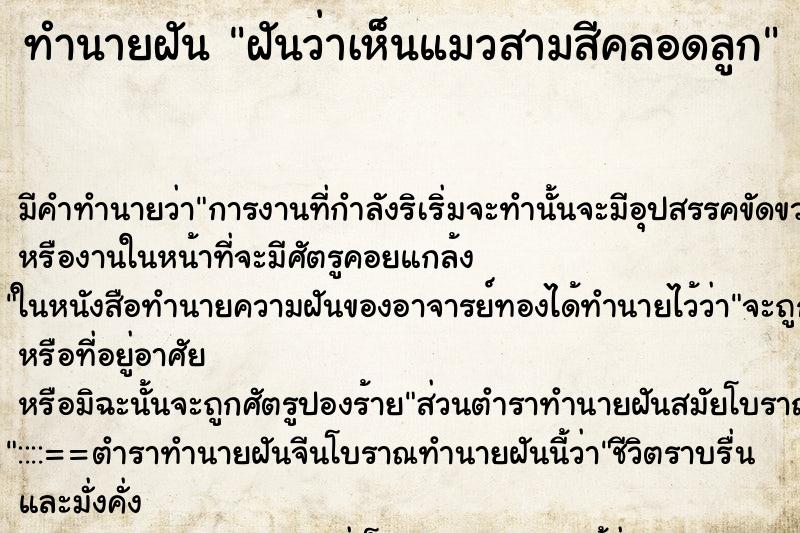 ทำนายฝัน ฝันว่าเห็นแมวสามสีคลอดลูก ทำนายฝัน ฝันว่าเห็นแมวสามสีคลอดลูก