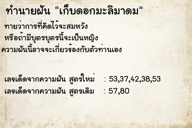 ทำนายฝันเก็บดอกมะลิมาดม ทำนายฝันทำนายฝันเก็บดอกมะลิมาดม
