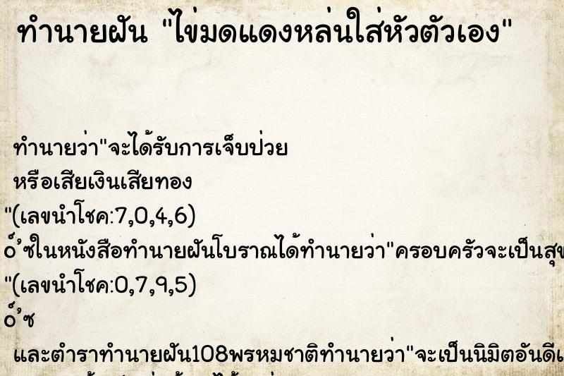 ทำนายฝันทำนายฝันไข่มดแดงหล่นใส่หัวตัวเอง