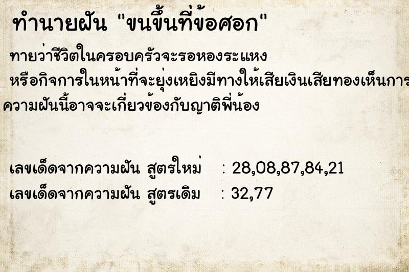ทำนายฝันขนขึ้นที่ข้อศอก ทำนายฝันทำนายฝันขนขึ้นที่ข้อศอก