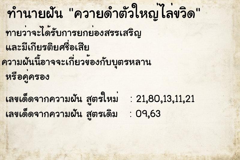 ทำนายฝัน ควายดำตัวใหญ่ไล่ขวิด ทำนายฝัน ควายดำตัวใหญ่ไล่ขวิด