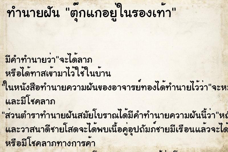 ทำนายฝัน ตุ๊กแกอยู่ในรองเท้า ทำนายฝัน ตุ๊กแกอยู่ในรองเท้า