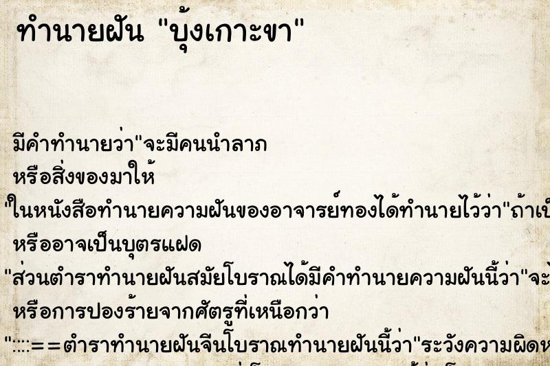 ทำนายฝัน บุ้งเกาะขา ทำนายฝัน บุ้งเกาะขา