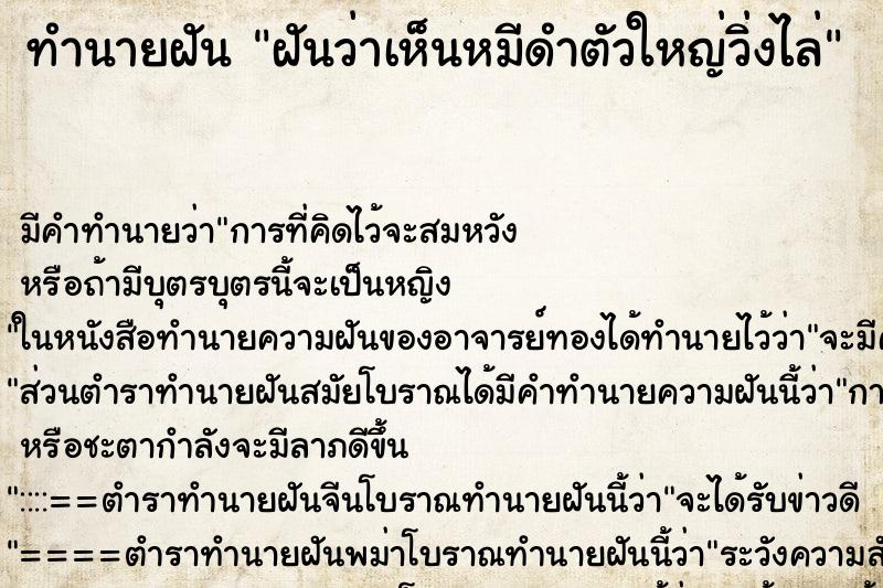 ทำนายฝันทำนายฝันฝันว่าเห็นหมีดำตัวใหญ่วิ่งไล่