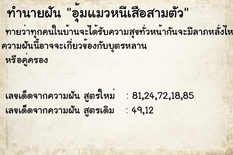 ทำนายฝัน อุ้มแมวหนีเสือสามตัว
