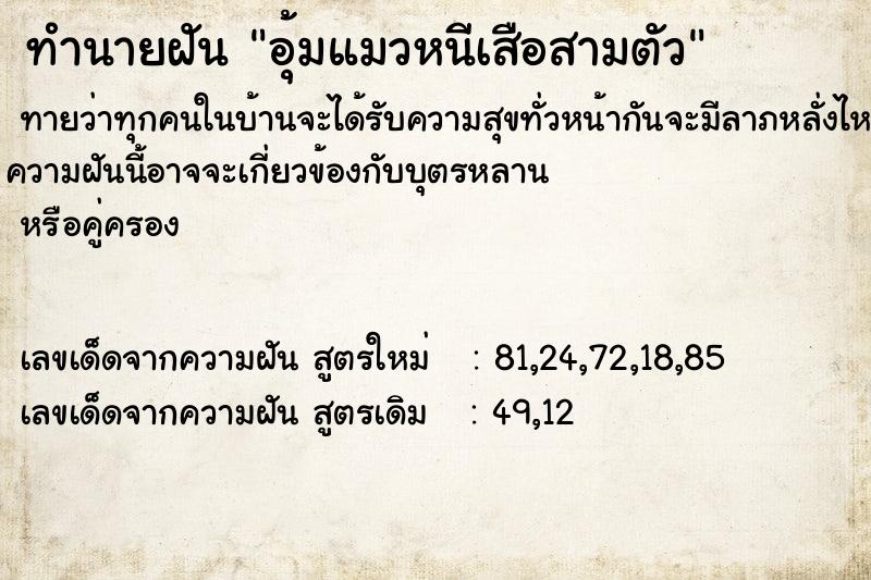 ทำนายฝัน อุ้มแมวหนีเสือสามตัว ตำราโบราณ แม่นที่สุดในโลก