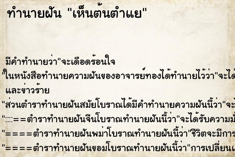 ทำนายฝันเห็นต้นตำแย ทำนายฝันทำนายฝันเห็นต้นตำแย