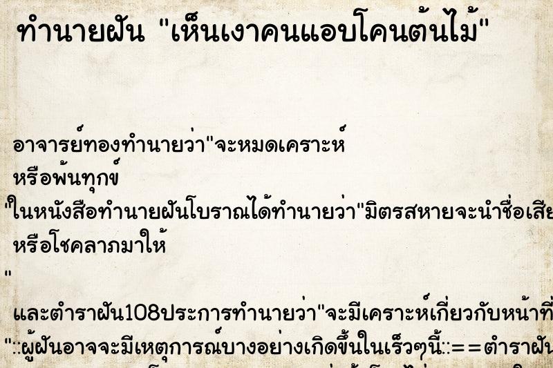 ทำนายฝันทำนายฝันเห็นเงาคนแอบโคนต้นไม้