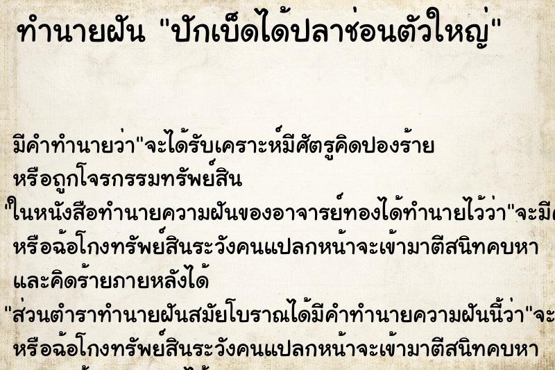 ทำนายฝัน ปักเบ็ดได้ปลาช่อนตัวใหญ่ ทำนายฝัน ปักเบ็ดได้ปลาช่อนตัวใหญ่
