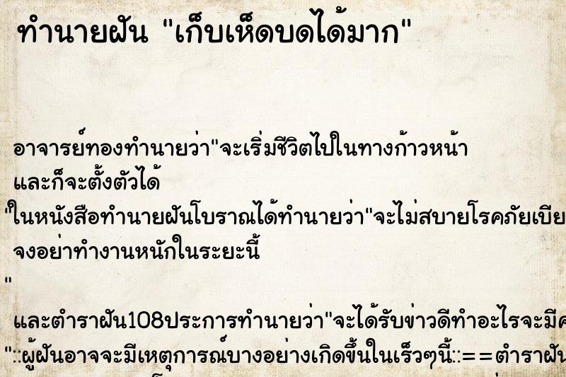 ทำนายฝันเก็บเห็ดบดได้มาก ทำนายฝันทำนายฝันเก็บเห็ดบดได้มาก