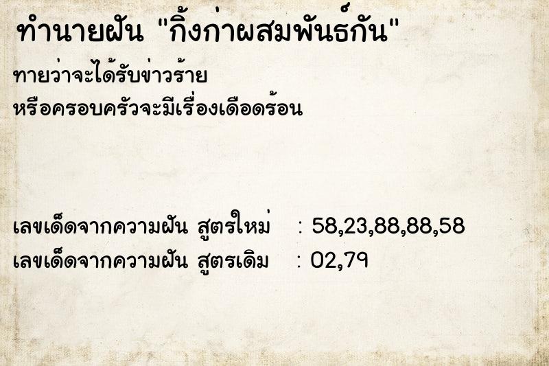 ทำนายฝันกิ้งก่าผสมพันธ์กัน ทำนายฝันทำนายฝันกิ้งก่าผสมพันธ์กัน