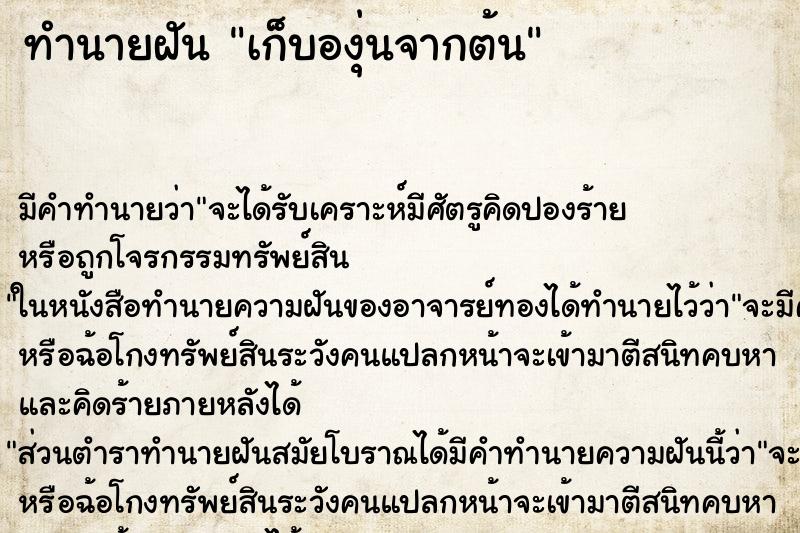 ทำนายฝันเก็บองุ่นจากต้น ทำนายฝันทำนายฝันเก็บองุ่นจากต้น