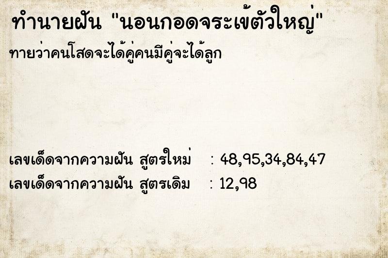 ทำนายฝัน นอนกอดจระเข้ตัวใหญ่