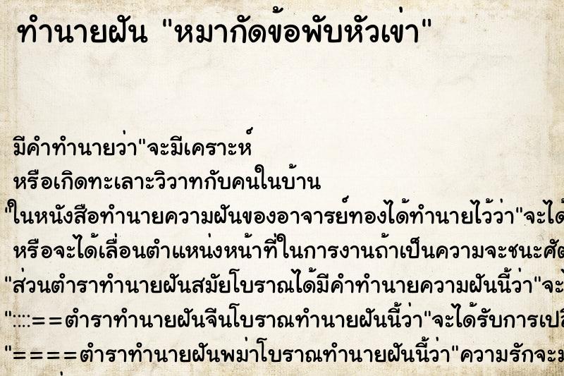 ทำนายฝันหมากัดข้อพับหัวเข่า ทำนายฝันทำนายฝันหมากัดข้อพับหัวเข่า