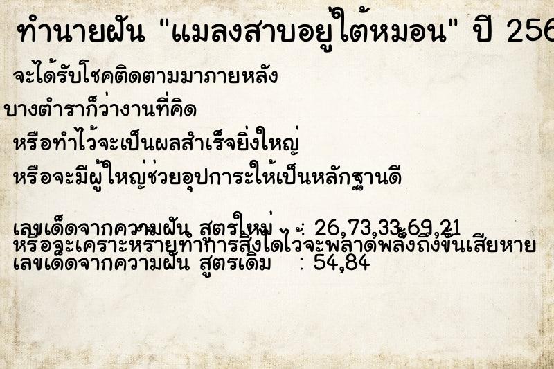 ทำนายฝันแมลงสาบอยู่ใต้หมอน ทำนายฝันทำนายฝันแมลงสาบอยู่ใต้หมอน