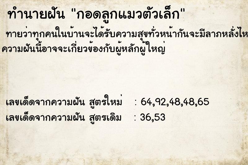 ทำนายฝัน กอดลูกแมวตัวเล็ก ทำนายฝัน กอดลูกแมวตัวเล็ก
