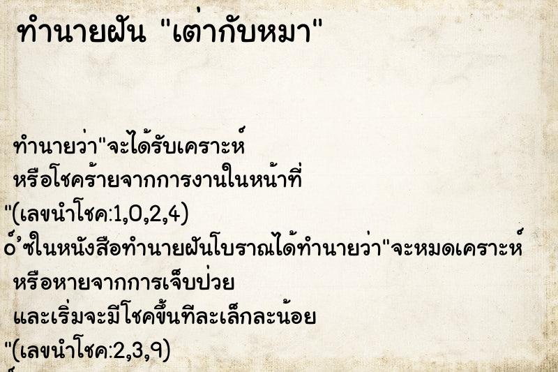 ทำนายฝัน เต่ากับหมา ทำนายฝัน เต่ากับหมา