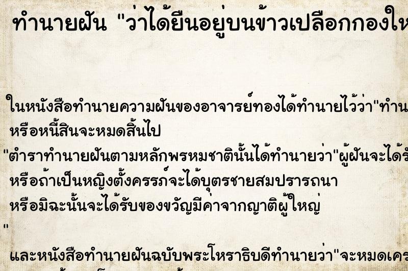 ทำนายฝัน ว่าได้ยืนอยู่บนข้าวเปลือกกองใหญ่ ทำนายฝัน ว่าได้ยืนอยู่บนข้าวเปลือกกองใหญ่