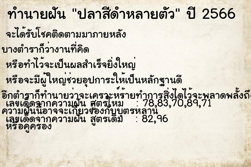 ทำนายฝัน ปลาสีดำหลายตัว ทำนายฝัน ปลาสีดำหลายตัว