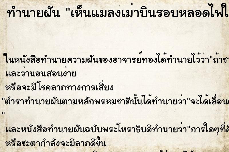 ทำนายฝัน เห็นแมลงเม่าบินรอบหลอดไฟในบ้านเต็มไปหมด