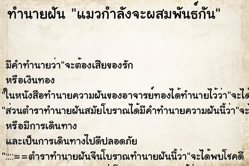 ทำนายฝัน แมวกำลังจะผสมพันธ์กัน