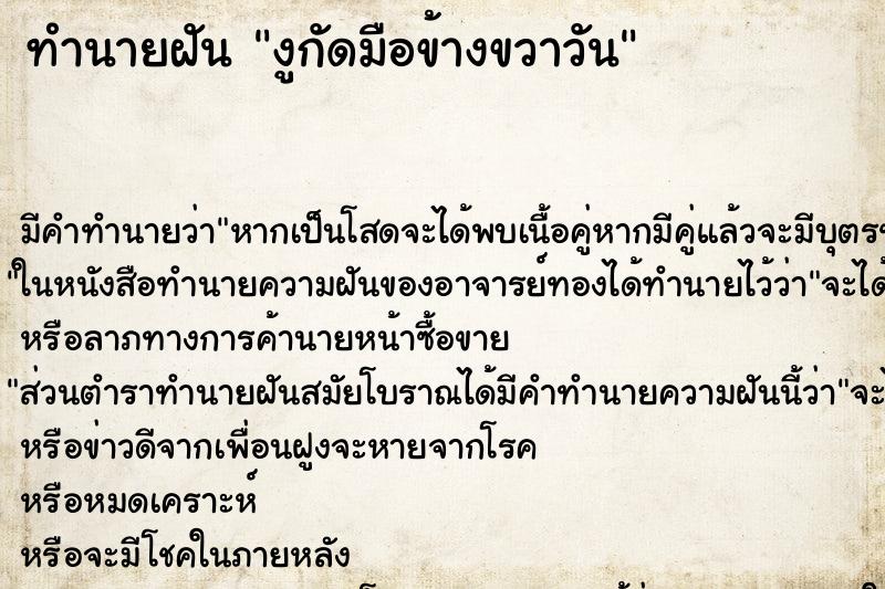 ทำนายฝันงูกัดมือข้างขวาวัน ทำนายฝันทำนายฝันงูกัดมือข้างขวาวัน