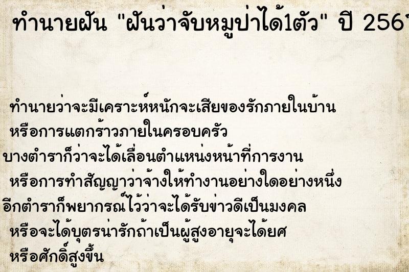 ทำนายฝันฝันว่าจับหมูป่าได้1ตัว ทำนายฝันทำนายฝันฝันว่าจับหมูป่าได้1ตัว