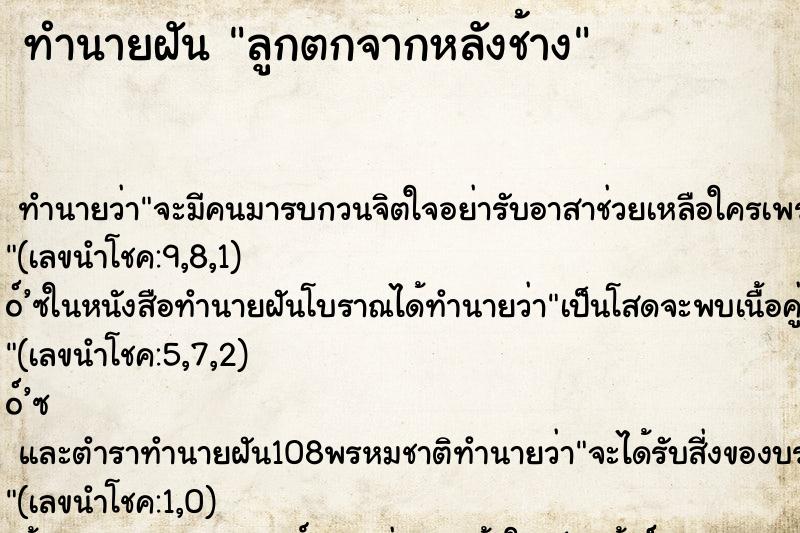 ทำนายฝันลูกตกจากหลังช้าง ทำนายฝันทำนายฝันลูกตกจากหลังช้าง