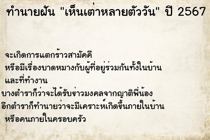ทำนายฝัน เห็นเต่าหลายตัววัน แม่นๆ ฟรี ด้วยตำราหนังสือทำนายฝันโบราณ ทำนายฝันเห็นเต่าหลายตัววัน