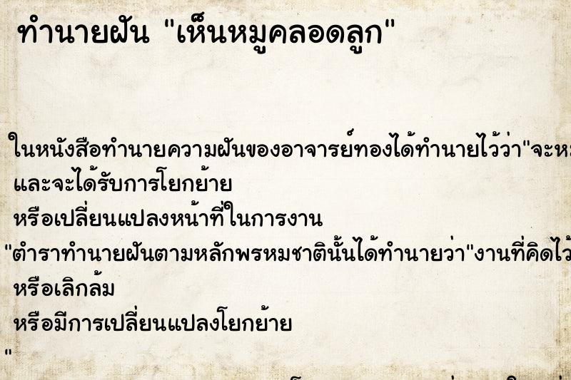 ทำนายฝันเห็นหมูคลอดลูก ทำนายฝันทำนายฝันเห็นหมูคลอดลูก