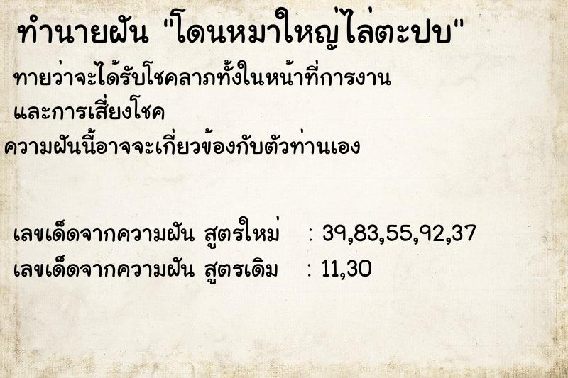 ทำนายฝัน โดนหมาใหญ่ไล่ตะปบ