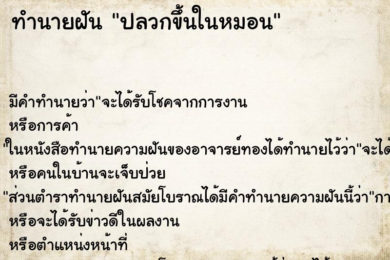 ทำนายฝัน ปลวกขึ้นในหมอน ทำนายฝัน ปลวกขึ้นในหมอน