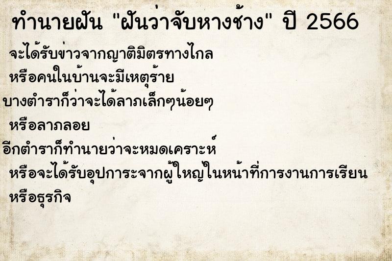 ทำนายฝันฝันว่าจับหางช้าง ทำนายฝันทำนายฝันฝันว่าจับหางช้าง