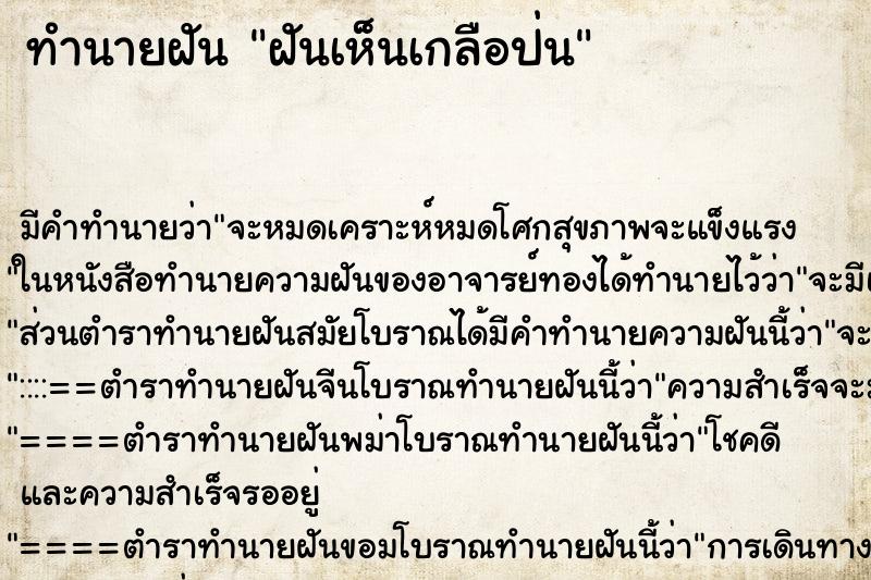 ทำนายฝันฝันเห็นเกลือป่น ทำนายฝันทำนายฝันฝันเห็นเกลือป่น