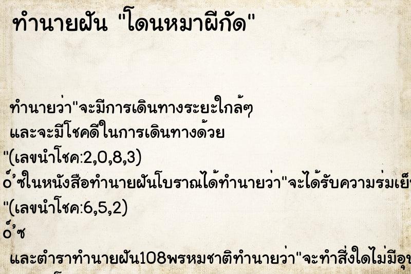 ทำนายฝันโดนหมาผีกัด ทำนายฝันทำนายฝันโดนหมาผีกัด