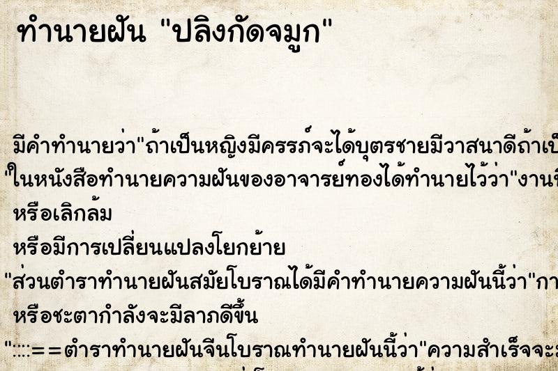 ทำนายฝันปลิงกัดจมูก ทำนายฝันทำนายฝันปลิงกัดจมูก