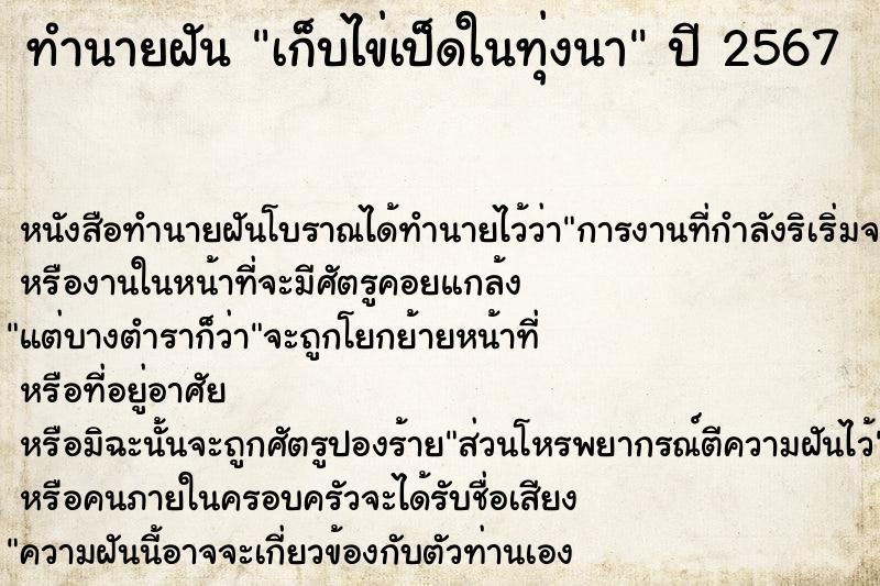ทำนายฝันเก็บไข่เป็ดในทุ่งนา ทำนายฝันทำนายฝันเก็บไข่เป็ดในทุ่งนา