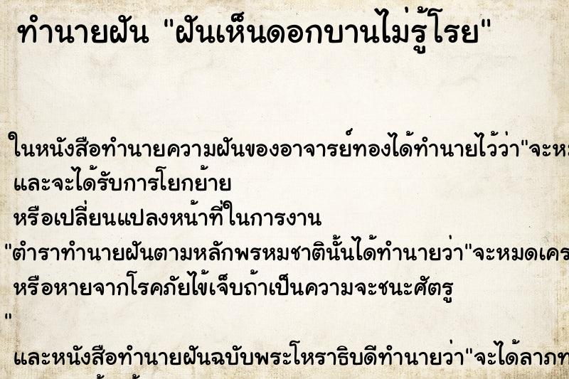 ทำนายฝันทำนายฝันฝันเห็นดอกบานไม่รู้โรย