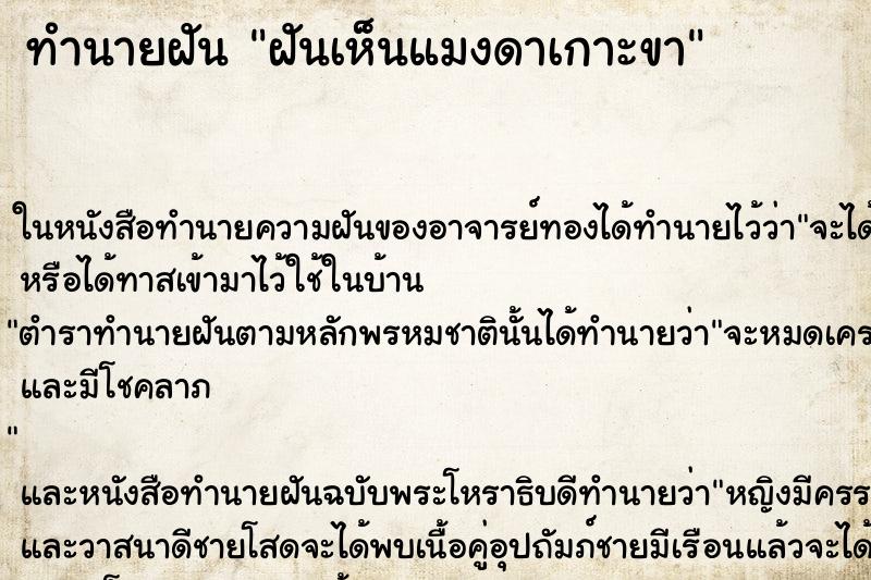 ทำนายฝันฝันเห็นแมงดาเกาะขา ทำนายฝันทำนายฝันฝันเห็นแมงดาเกาะขา