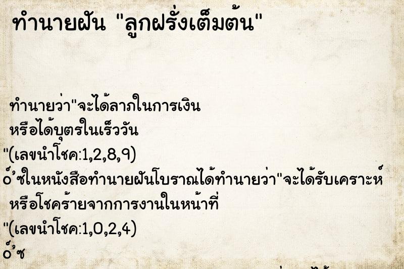 ทำนายฝัน ลูกฝรั่งเต็มต้น ตำราโบราณ แม่นที่สุดในโลก