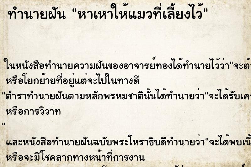 ทำนายฝันหาเหาให้แมวที่เลี้ยงไว้ ทำนายฝันทำนายฝันหาเหาให้แมวที่เลี้ยงไว้