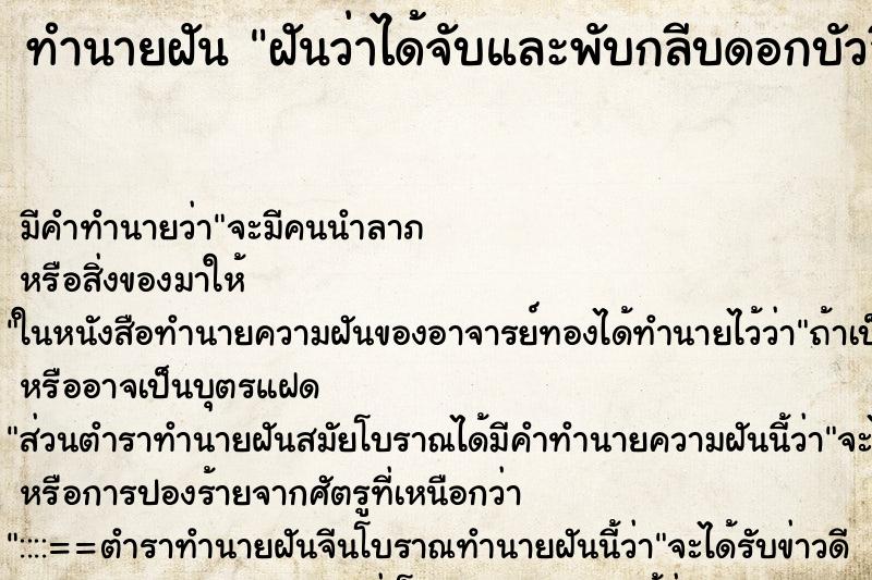 ทำนายฝันฝันว่าได้จับและพับกลีบดอกบัวสีชมพู ทำนายฝันทำนายฝันฝันว่าได้จับและพับกลีบดอกบัวสีชมพู