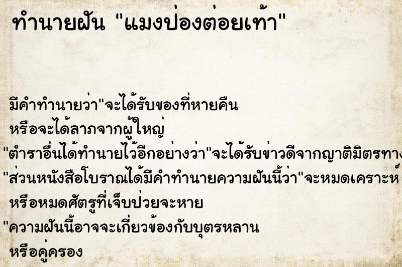 ทำนายฝัน แมงป่องต่อยเท้า ตำราโบราณ แม่นที่สุดในโลก