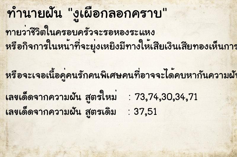 ทำนายฝันงูเผือกลอกคราบ ทำนายฝันทำนายฝันงูเผือกลอกคราบ