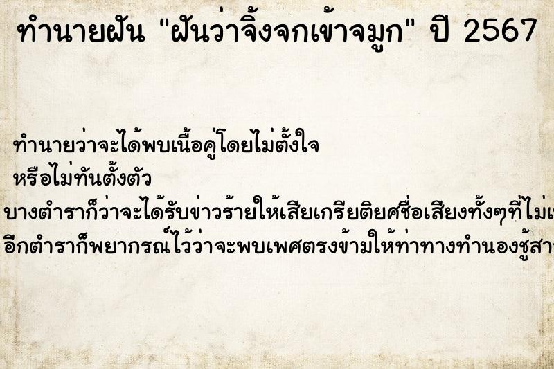 ทำนายฝัน ฝันว่าจิ้งจกเข้าจมูก ทำนายฝัน ฝันว่าจิ้งจกเข้าจมูก