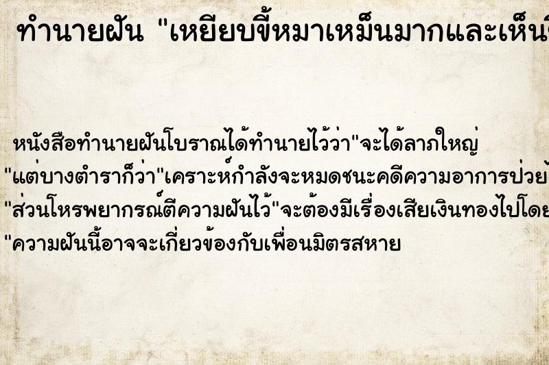ทำนายฝันเหยียบขี้หมาเหม็นมากและเห็นขี้หมาเต็มเลย ทำนายฝันทำนายฝันเหยียบขี้หมาเหม็นมากและเห็นขี้หมาเต็มเลย