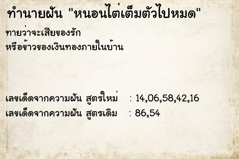 ทำนายฝันหนอนไต่เต็มตัวไปหมด ทำนายฝันทำนายฝันหนอนไต่เต็มตัวไปหมด