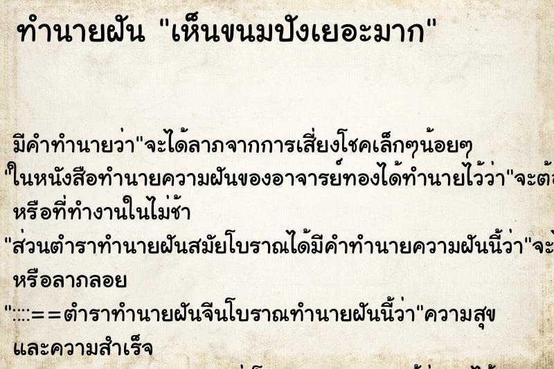 ทำนายฝันทำนายฝันเห็นขนมปังเยอะมาก