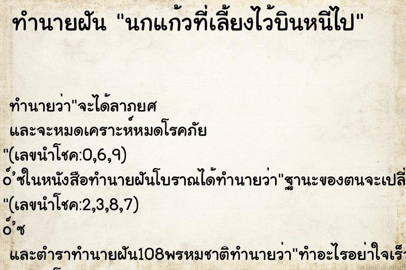 ทำนายฝันนกแก้วที่เลี้ยงไว้บินหนีไป ทำนายฝันทำนายฝันนกแก้วที่เลี้ยงไว้บินหนีไป