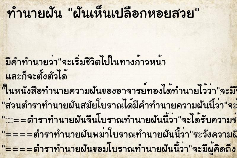 ทำนายฝัน ฝันเห็นเปลือกหอยสวย ทำนายฝัน ฝันเห็นเปลือกหอยสวย